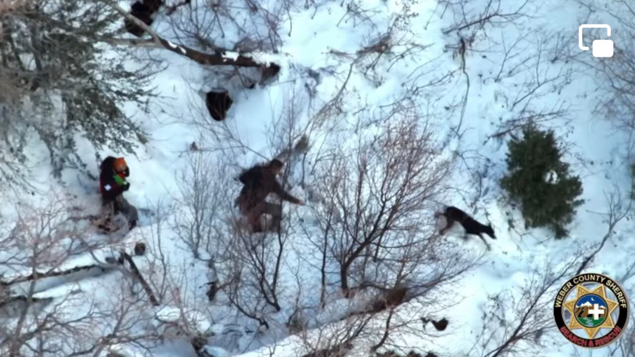 Tras varias horas de intentar recuperarla, el dueño no lo logró debido a que oscureció ante la llegada de la noche.