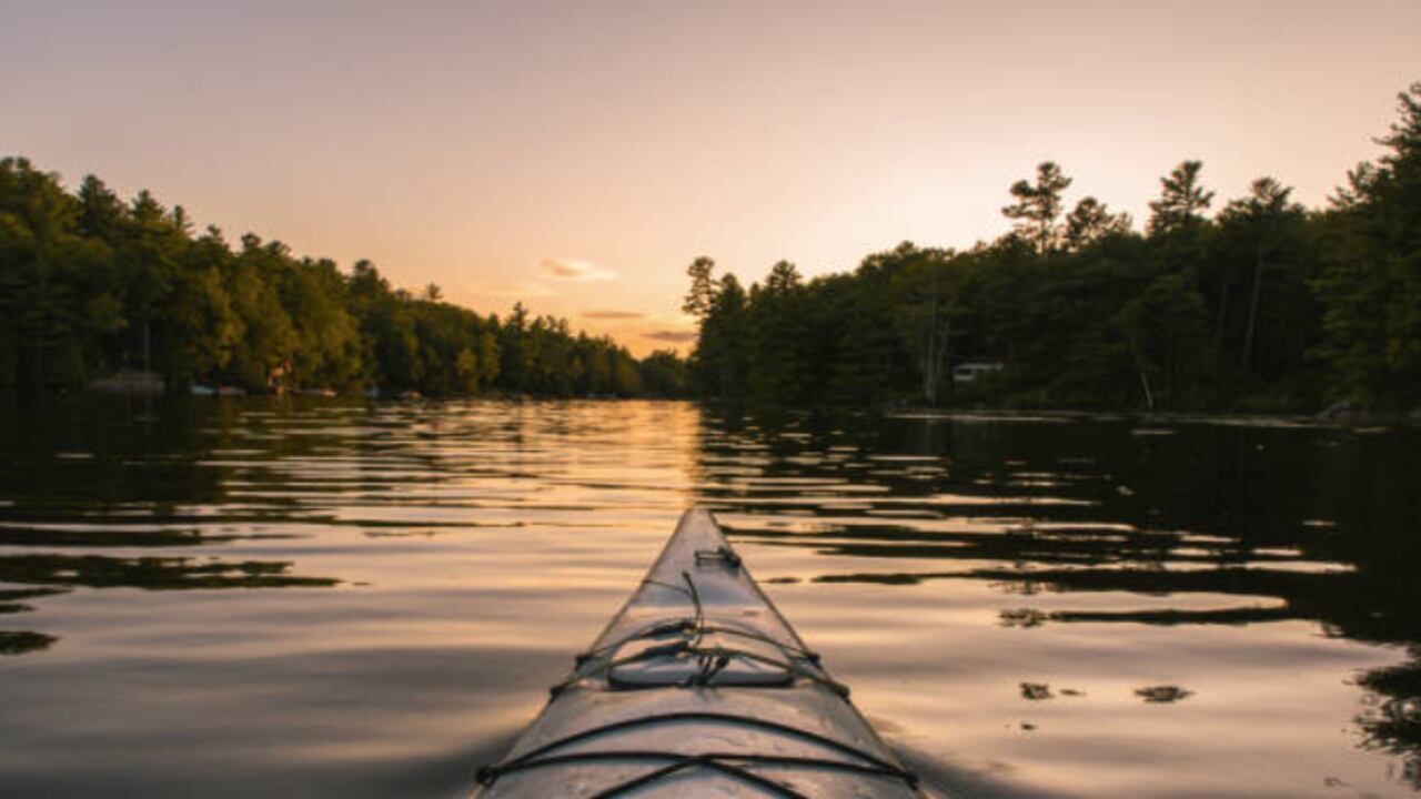 Imagen de referencia, no corresponde al caso en mención.