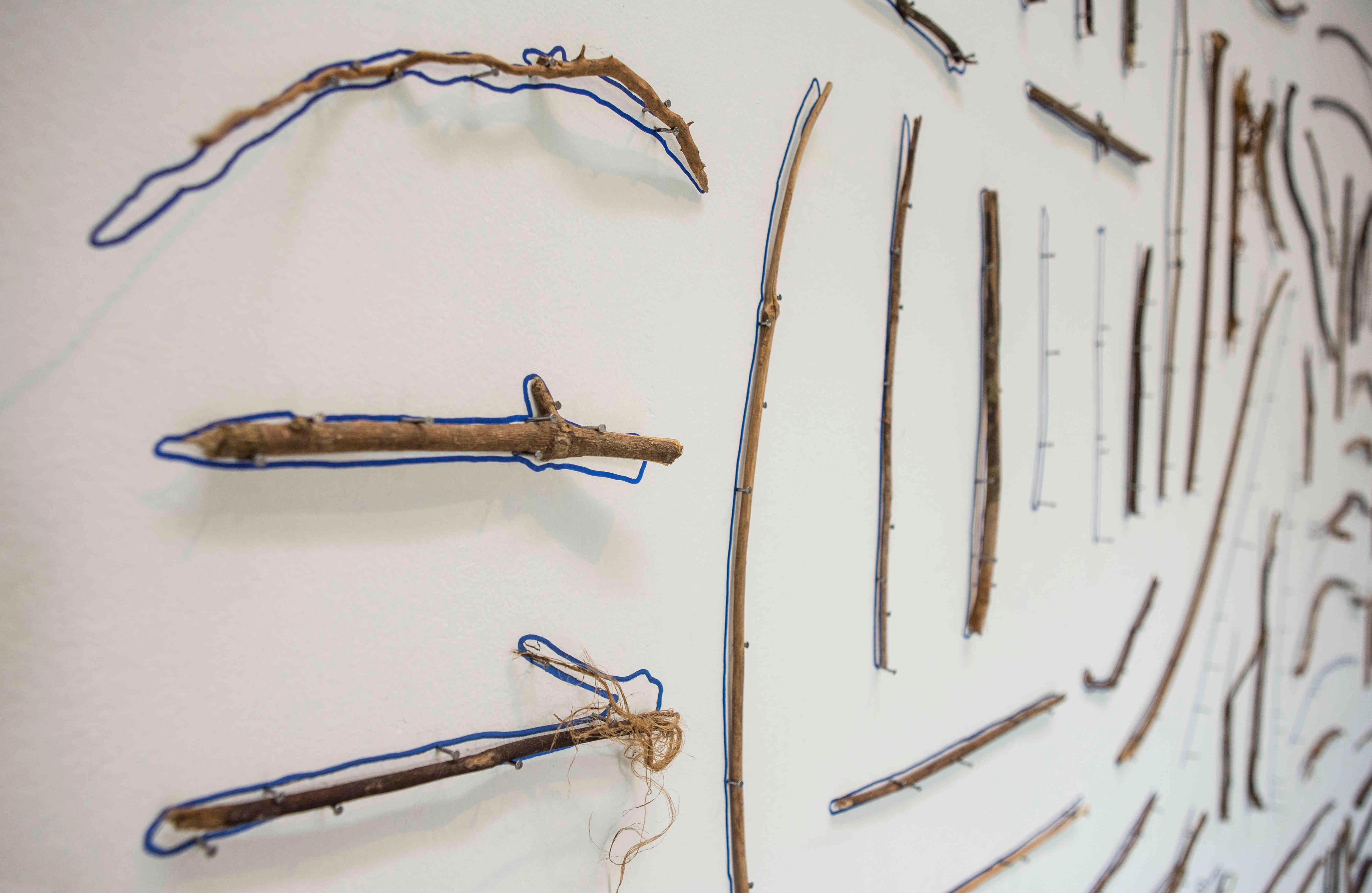 'Taller' Herramientas hechas por chimpancés, son ramas para extraer miel e insectos.  Se disponen a la manera en la que organizan las herramientas en talleres de mecánica: sobre una pared, delineadas con marcador.