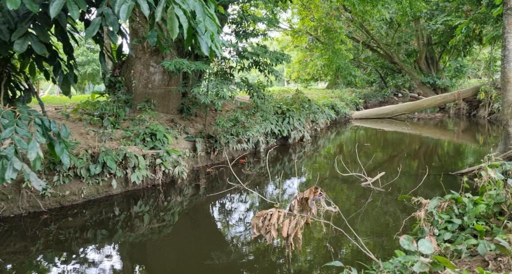Este es el posible terreno, vía Vijagual.