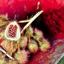 La acción diurética del achiote es una de sus propiedades más reconocidas. Getty Images.