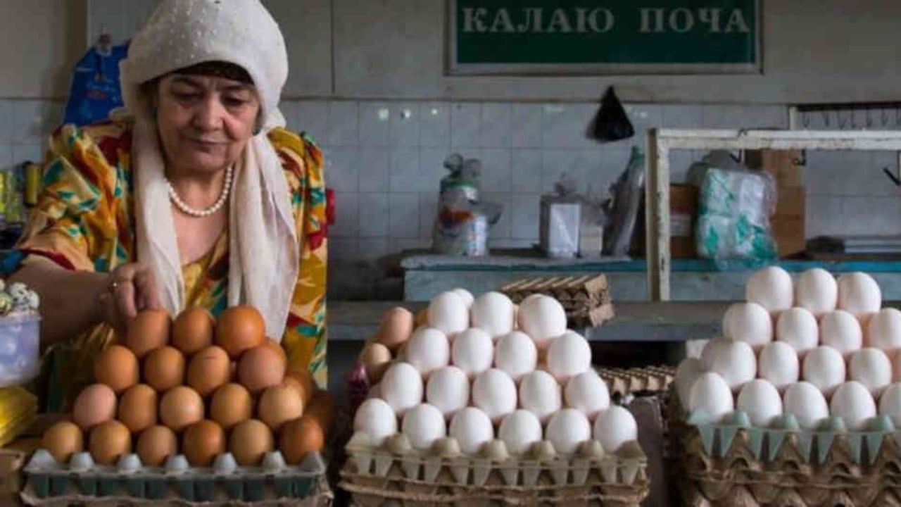 ¿Por qué los huevos tienen diferrntes colores? Foto: Getty Images/BBC