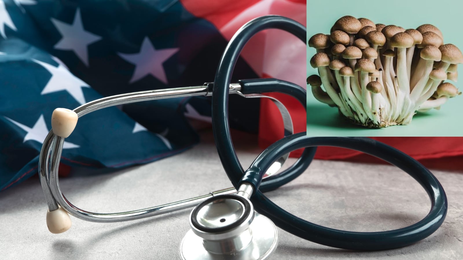 Las lluvias recientes y las temperaturas suaves favorecieron la proliferación de hongos venenosos en zonas naturales de California, elevando el riesgo de intoxicaciones graves.