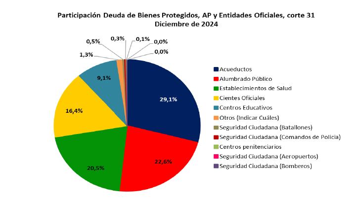 Participación deudores públicos de energía
