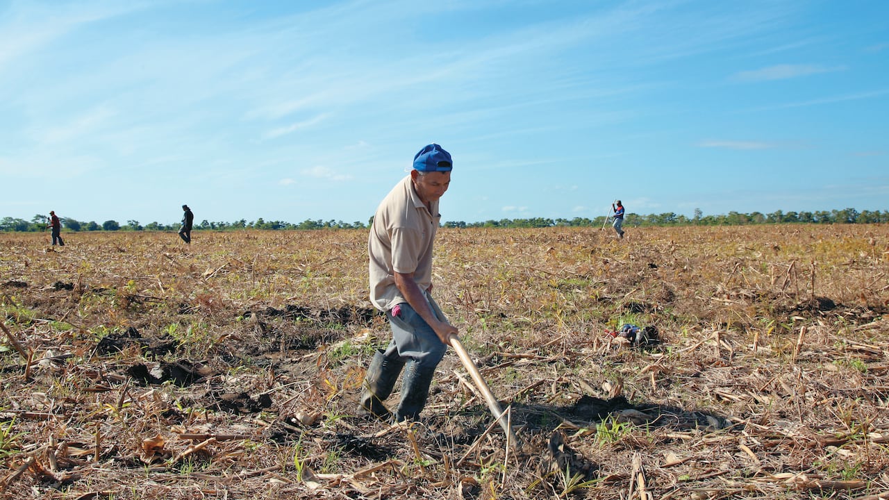 Una de las prioridades del nuevo alcalde de Montería será la generación de oportunidades para la población rural de la capital de Córdoba.