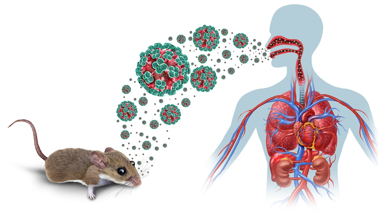 Hantavirus 2026:casos y zonas bajo vigilancia epidemiológica.