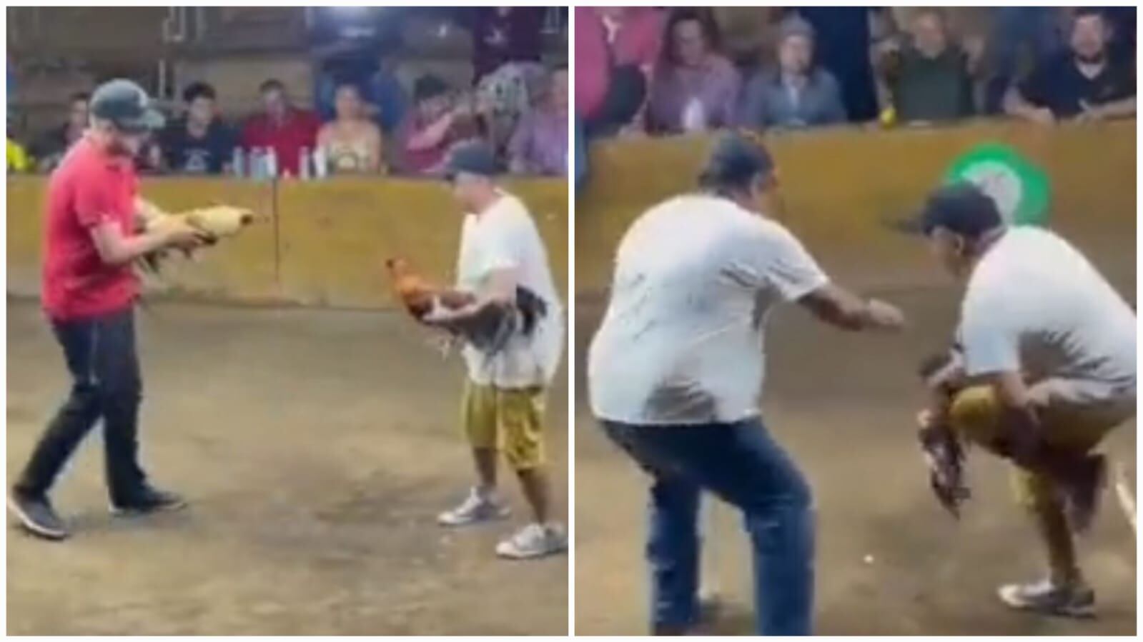 El incidente se produjo en un palenque de Colima, México.