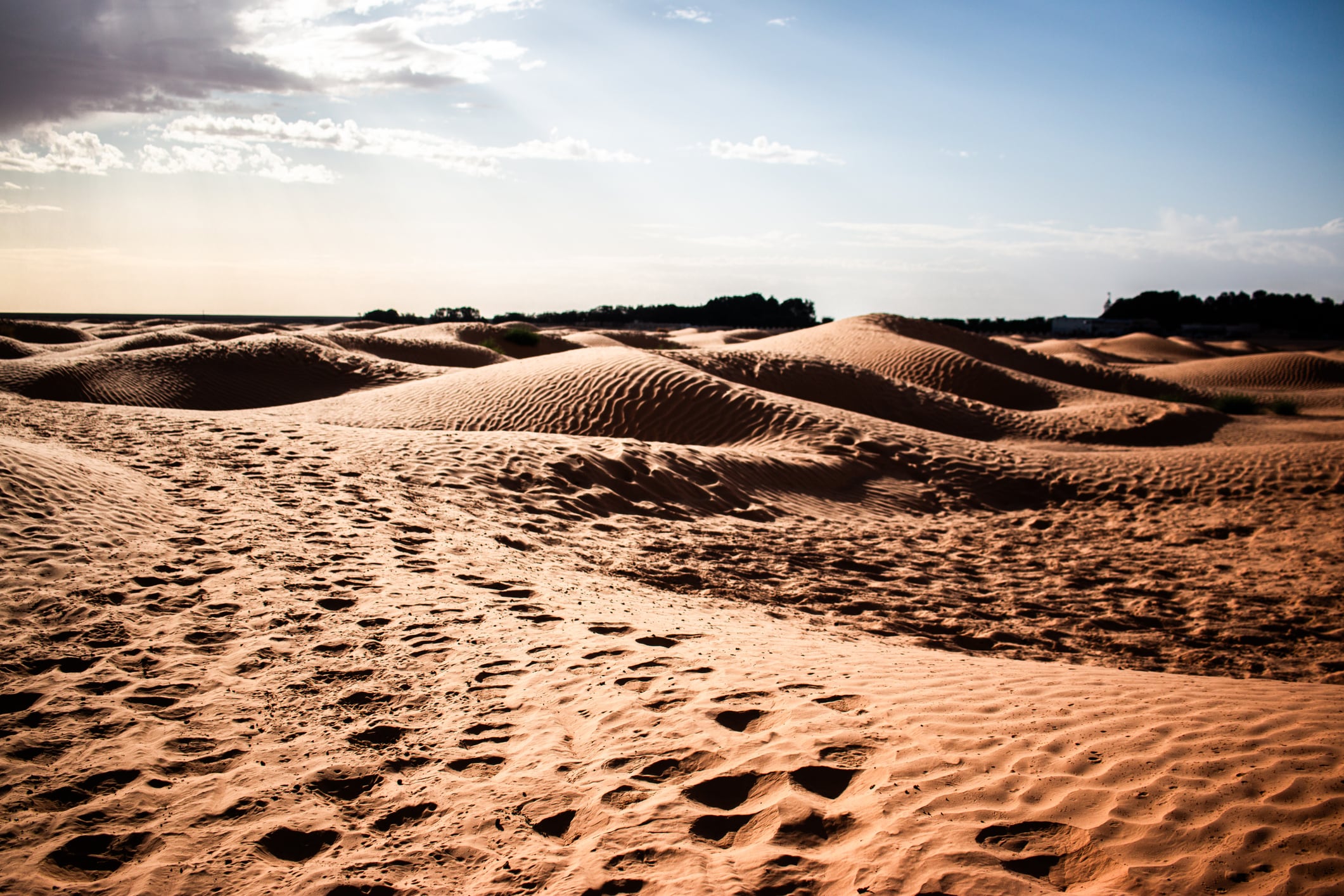Sahara: El vasto paisaje desértico de Túnez, en el norte de África.