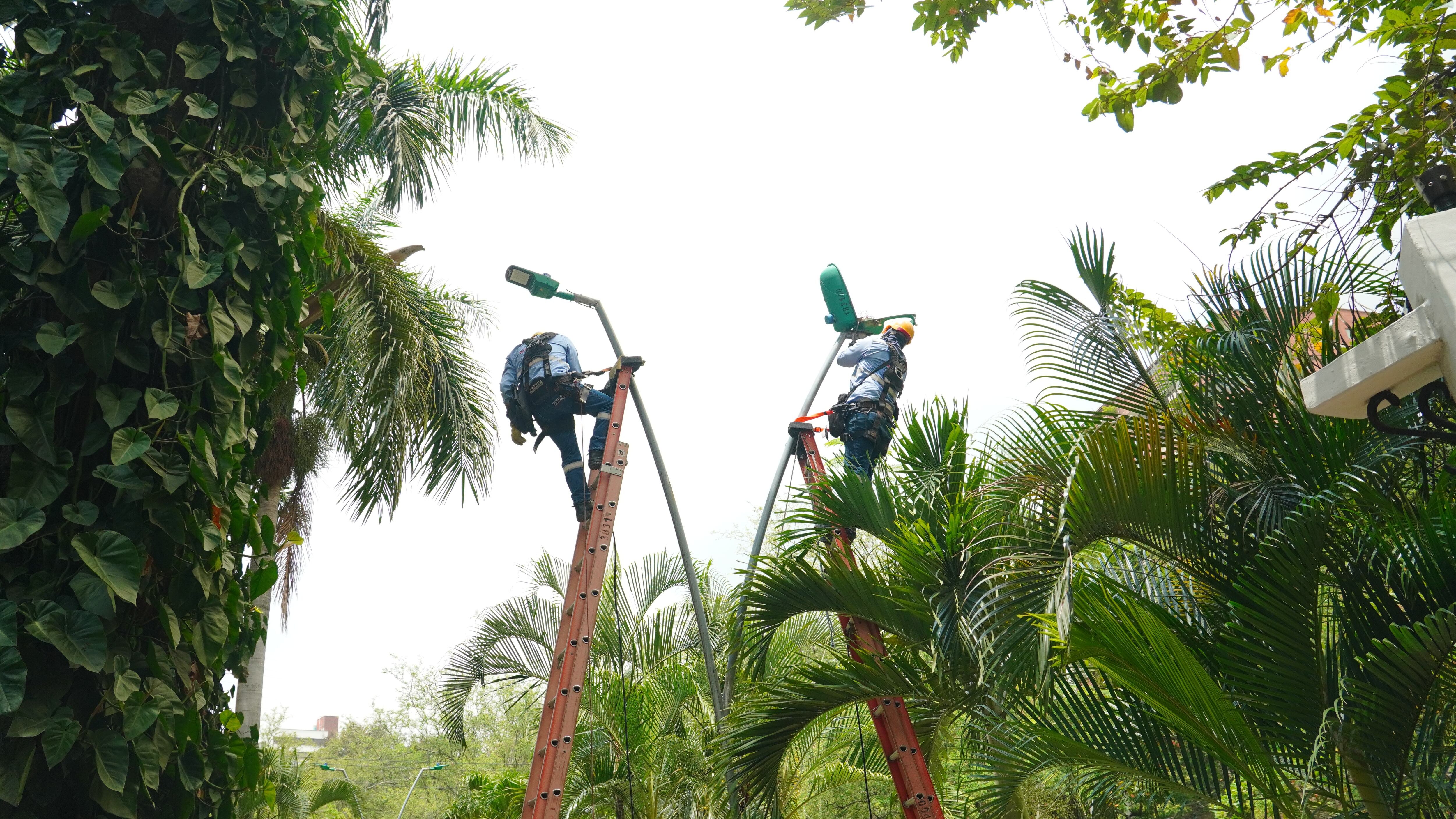 emcali alumbrado publico cali