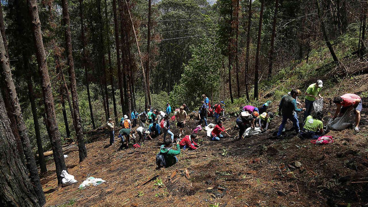 Con la habilitación del Sendero de Las Mariposas se espera el ingreso de nueve mil visitantes diarios a los cerros orientales de Bogotá. Foto: archivo/Semana.