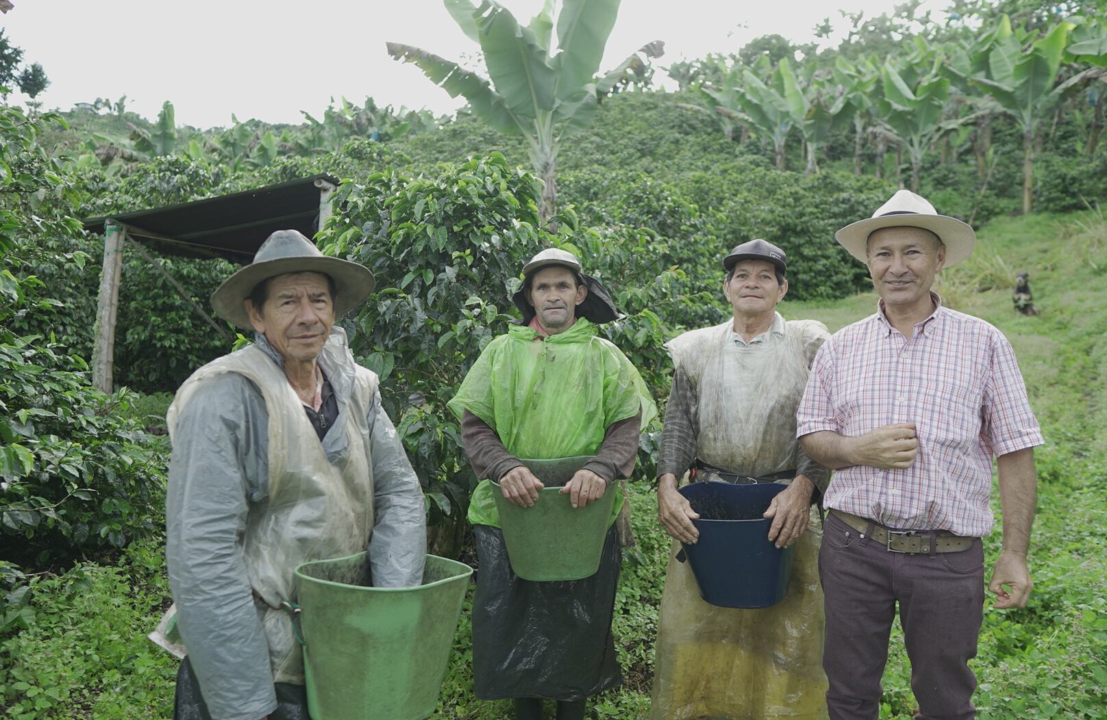 En Davivienda todos tienen campo. Más de 1,9 billones de pesos han sido movilizados hacia productores que implementan prácticas agrícolas sostenibles y cuentan con certificaciones de sostenibilidad.
