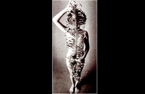 Autor: Catalina Jaramillo
 Desnudo
12 Salón Colombiano de Fotografía