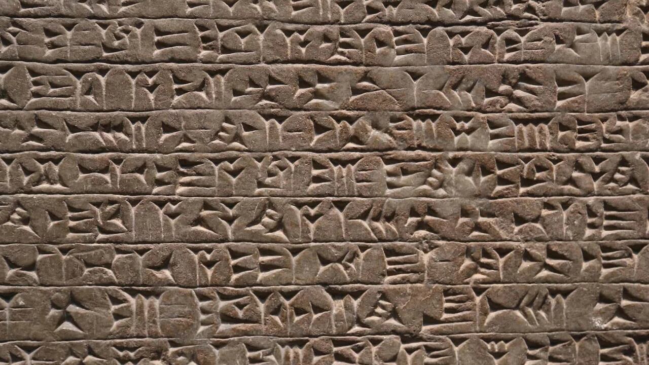 El inquietante descubrimiento ha puesto a los expertos a trabajar ansiosamente.