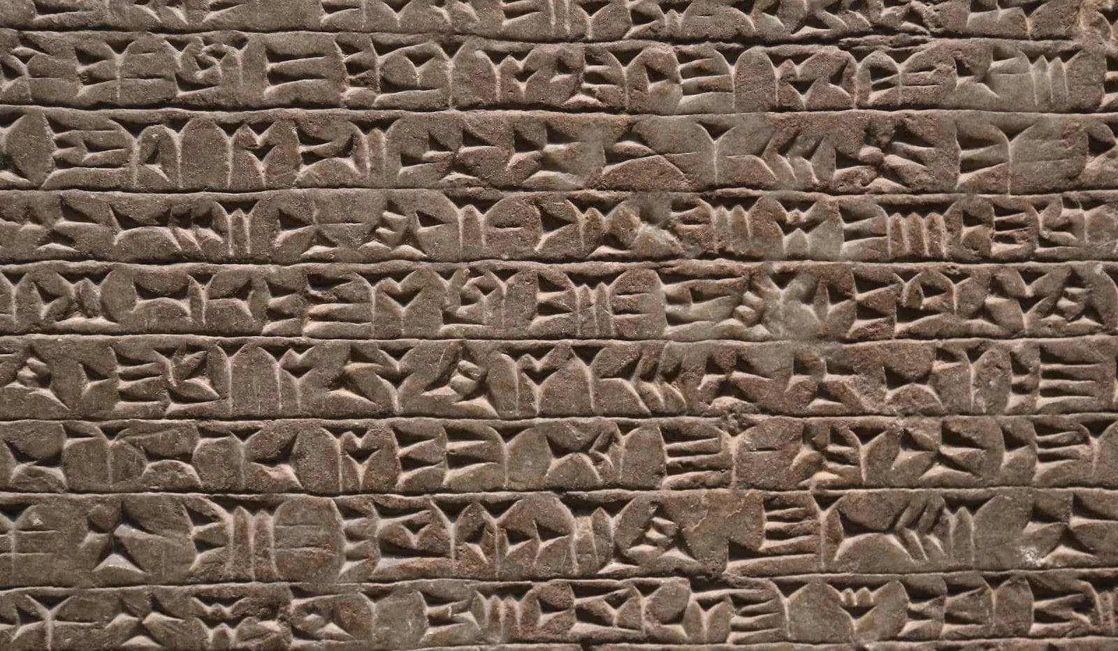 El inquietante descubrimiento ha puesto a los expertos a trabajar ansiosamente.