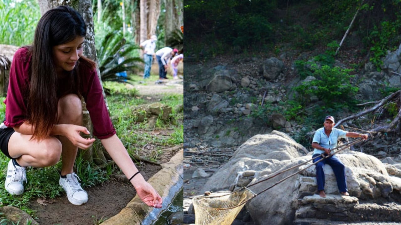 Los dos municipios del Tolima que se destacan entre los 20 mejores destinos turísticos preferidos por los colombianos