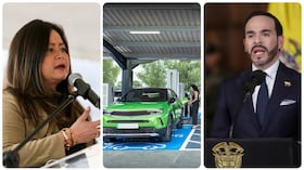 La exministra de Transporte María Fernanda Rojas recordó los avances que ha tenido Colombia en materia de movilidad eléctrica.
