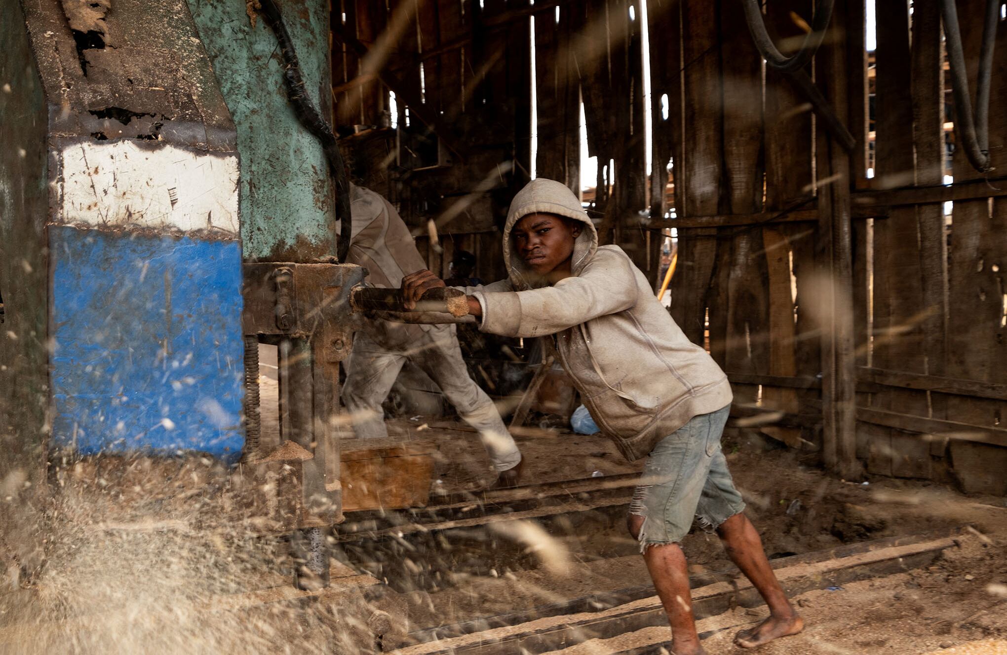 En imágenes : los bosques en extinción de Nigeria