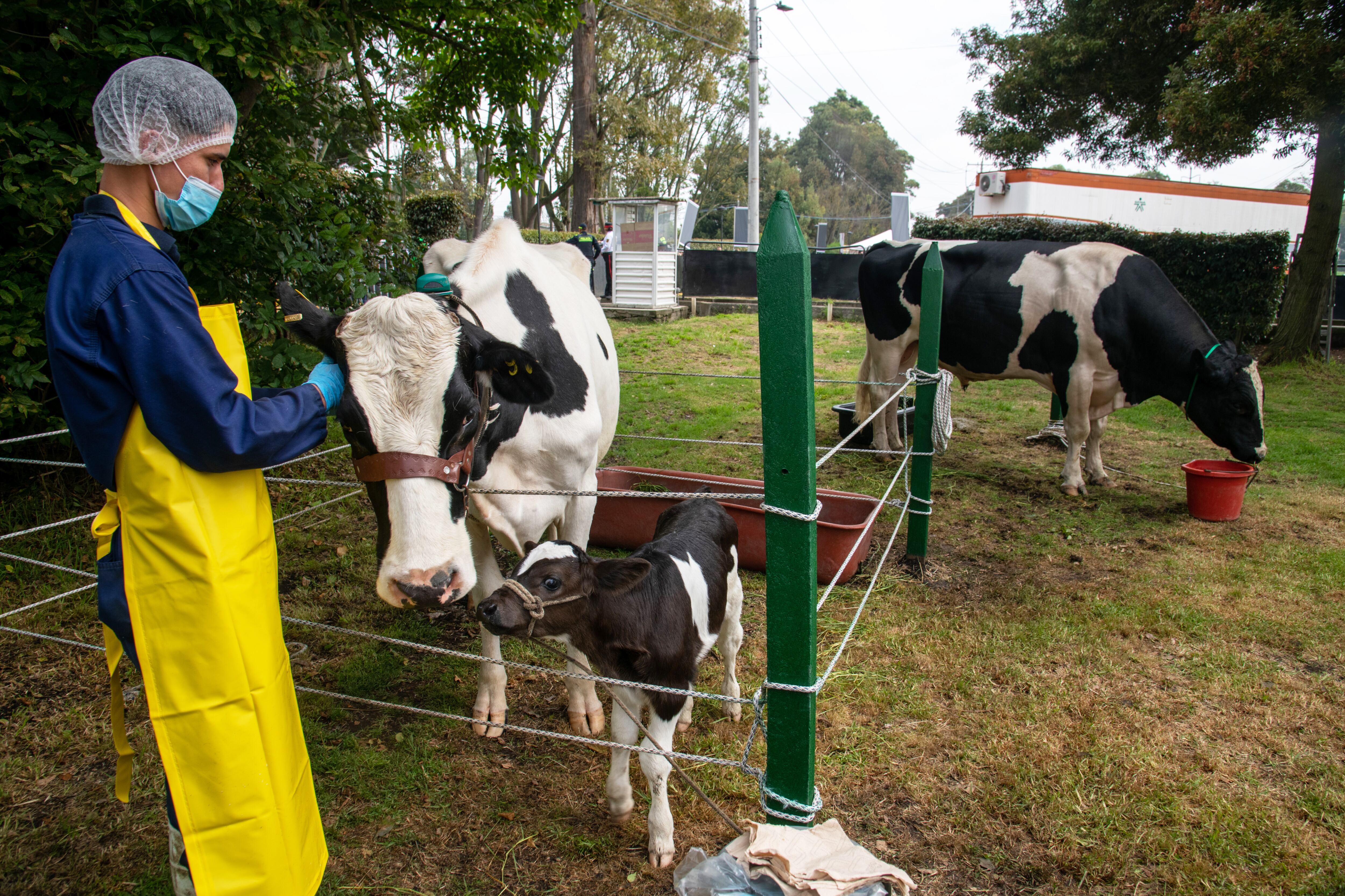 Los campesinos tendrán capacitaciones del SENA.