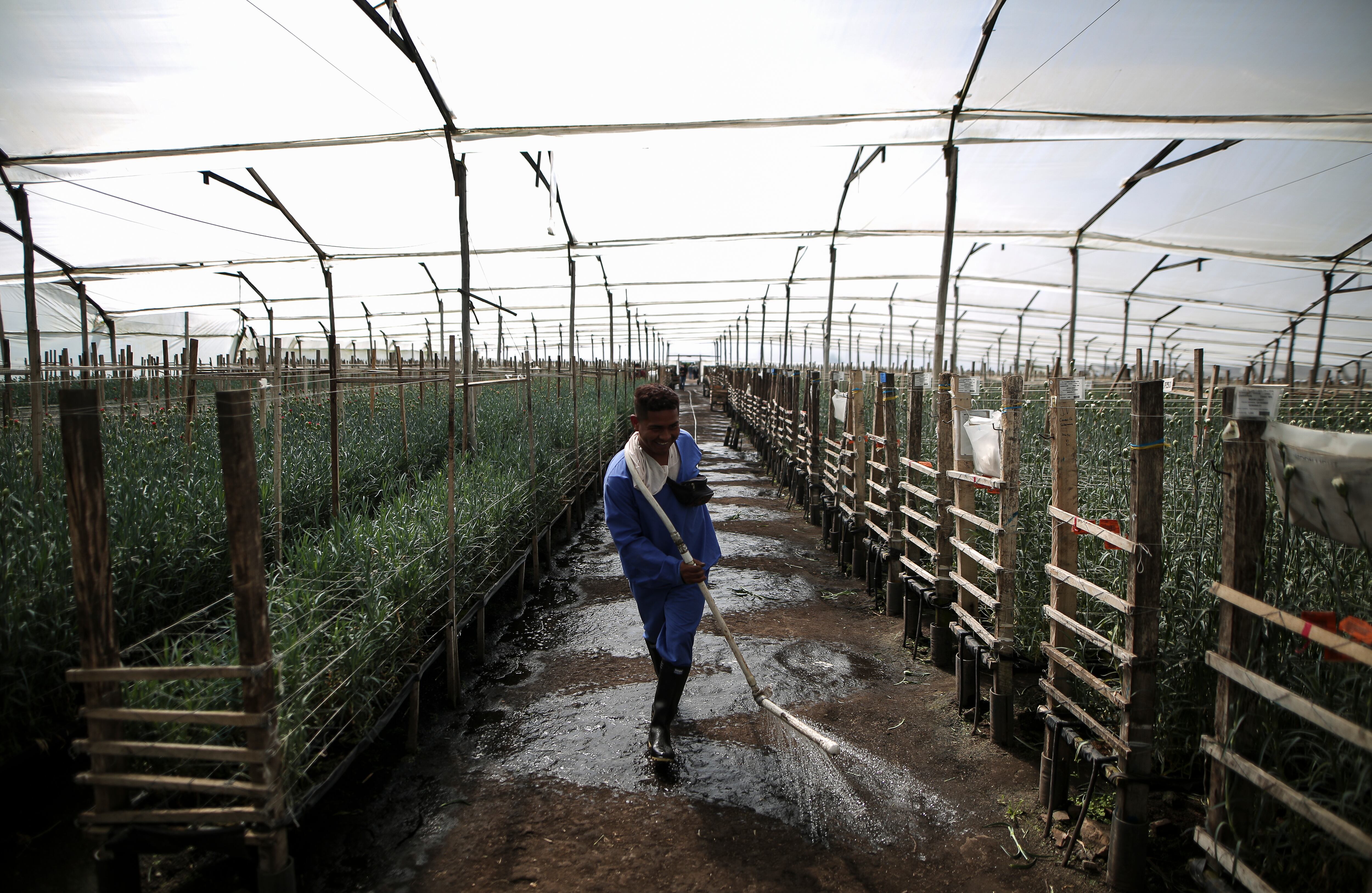 Flores, el regalo tradicional en el día de la madre
