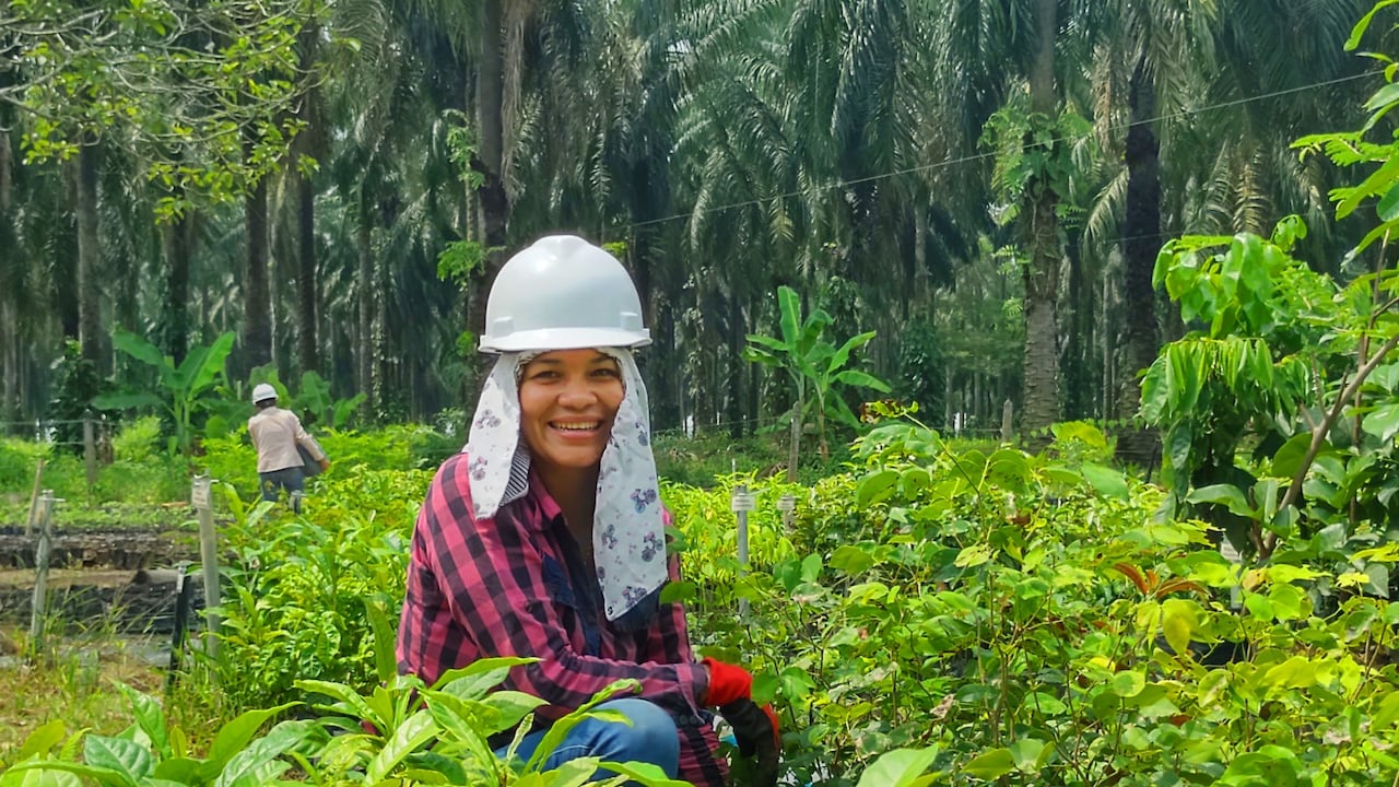 Se estima que el sector palmicultor cuenta con 7.552 productores.
