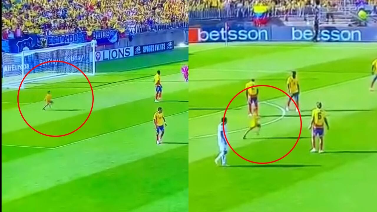 Así la conmovedora escena.