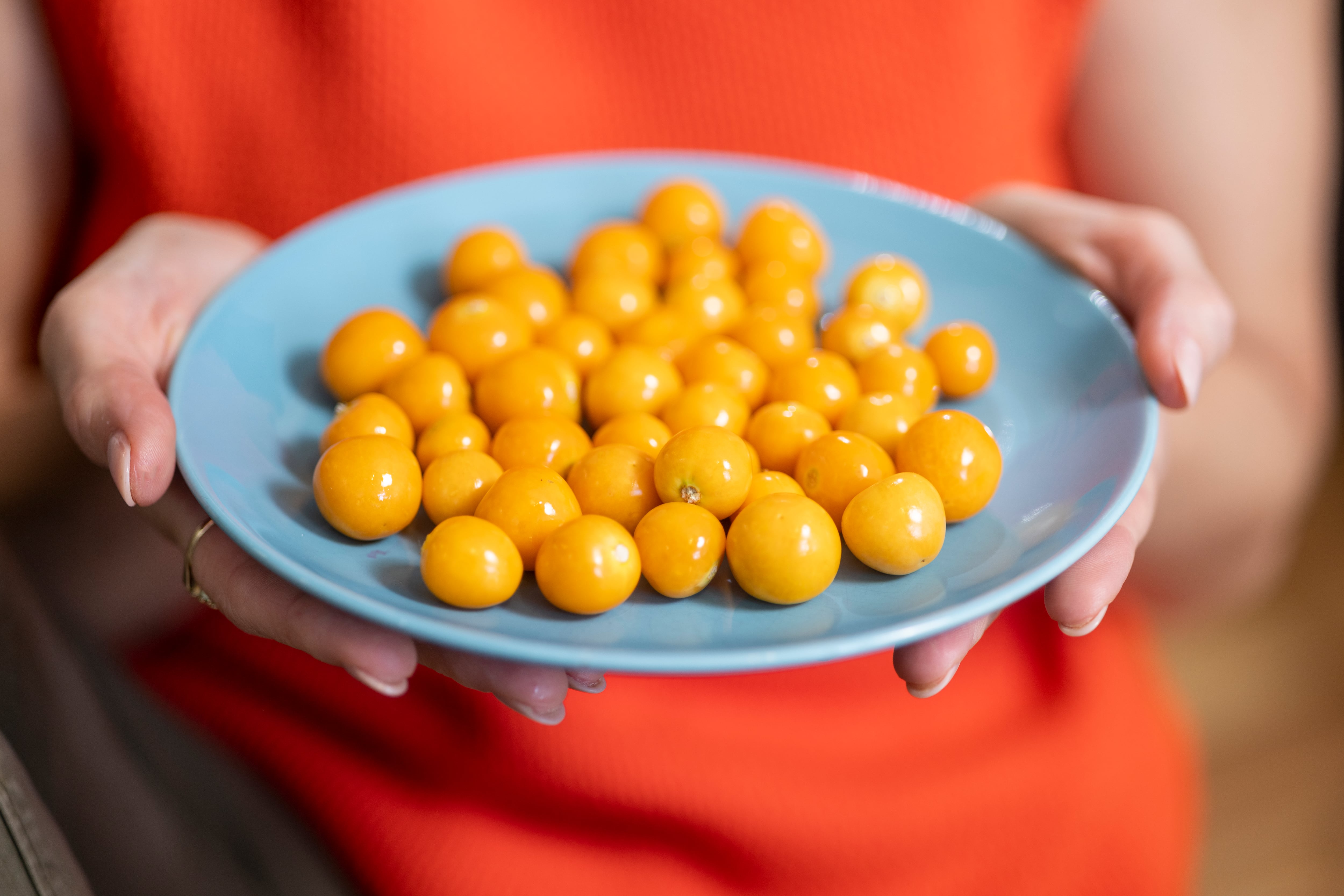La uchuva ayuda a la salud ocular y mejorar la cicatrización de ciertas heridas.