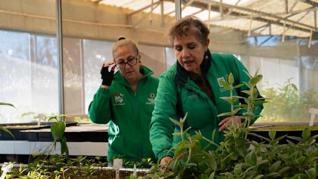 Martha Perdomo Ramírez, directora general del Jardín Botánico de Bogotá