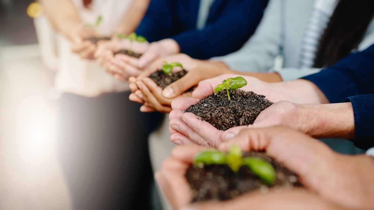 El sector financiero ha jugado un papel central en impulsar prácticas empresariales sostenibles.