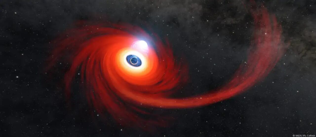 La destrucción de estrellas por agujeros negros dejó una “huella luminosa” que guiará estudios futuros.