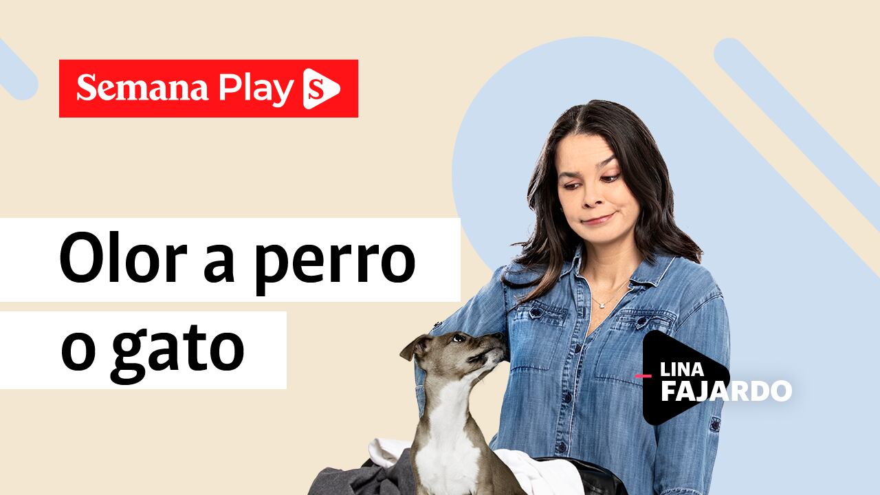 Olor a perro o gato | Lina Fajardo en La Magia del Orden
