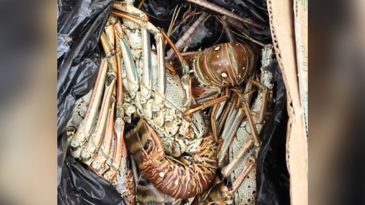 La carga pasa a la cocina o rancho, como se le dice en la cárcel.