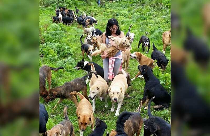 A través de su filosofía, el albergue quiere difundir la idea de los "Zaguates" no son menos valiosos que otros perros.