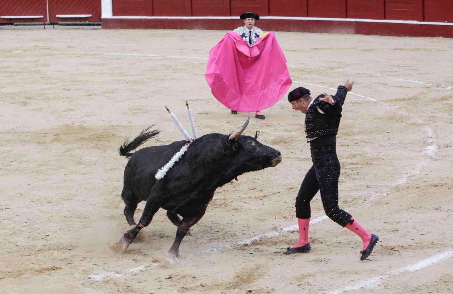 Foto: Diana Rey Melo