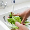 Antes de consumir, se debe hacer un correcto lavado de la lechuga.