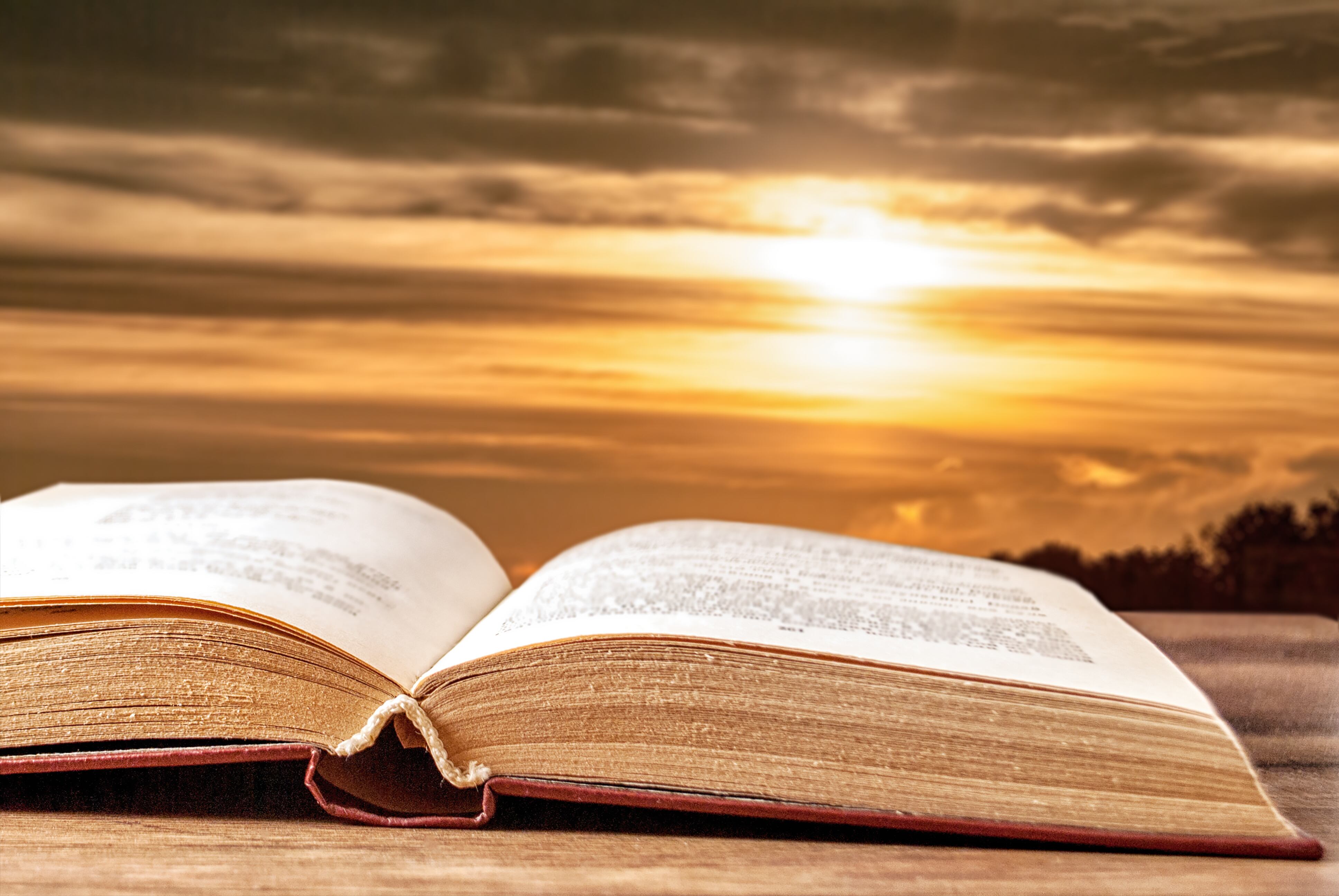 Los versículos para que el dinero rinda.