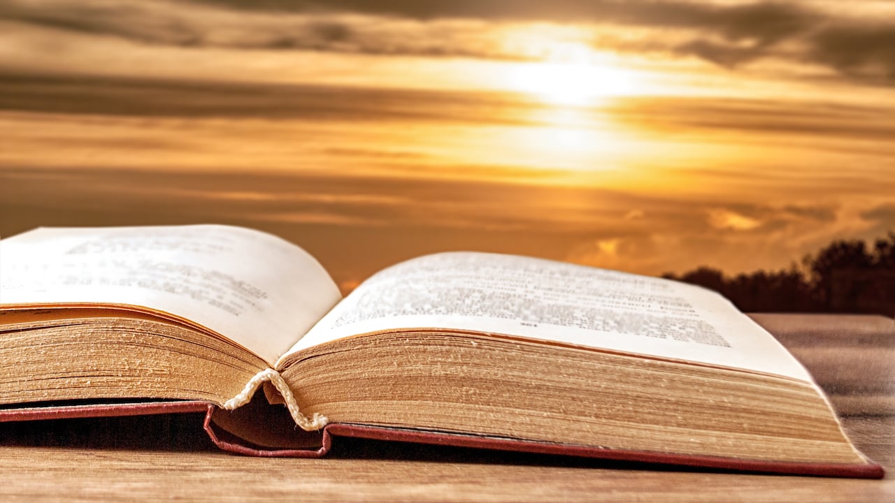 Los Salmos para pedir la dirección de Dios.