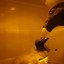 Vuela Alto Rafiki, Semana Sostenible