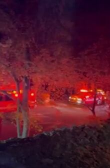 Foto: Captura de pantalla / Instagram @caradelevingne