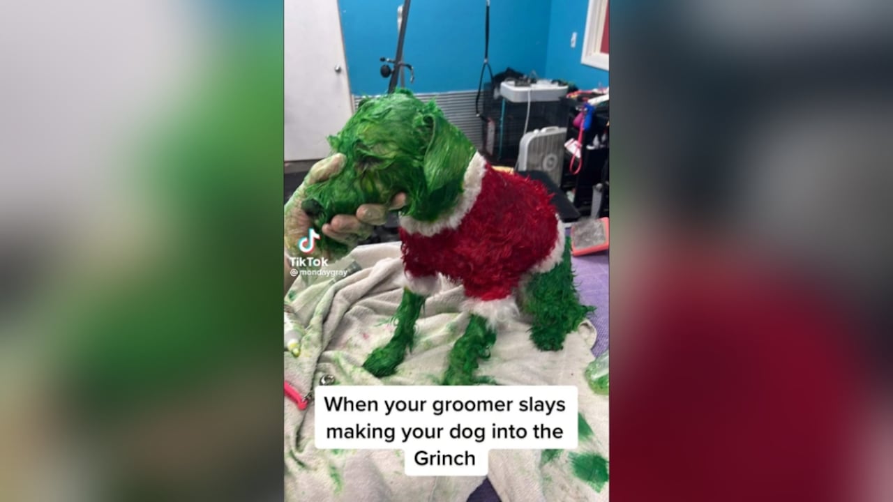 Los usuarios indicaron que este tipo de actuaciones afectaban a la mascota.