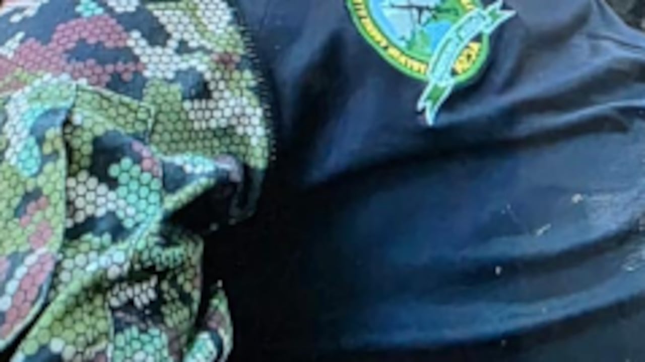 Alias Bendito Menor fue abatido por la Policía.
