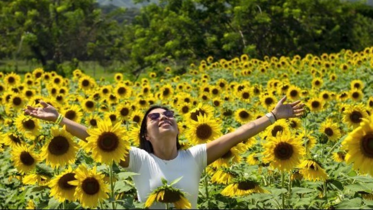 Sitios turísticos del Valle del Cauca