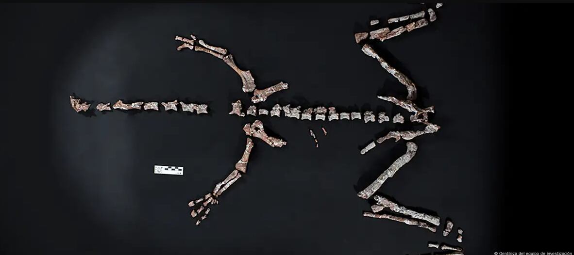 Investigadores detectan una zona del Atlántico donde el magnetismo se comporta de forma anómala.