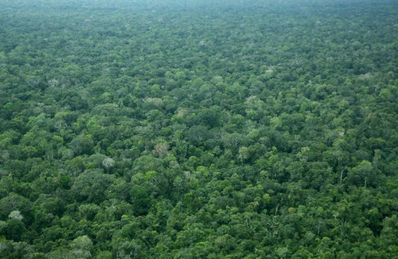 La amazonía colombiana es una de las mejor conservada de la región. Cerca del 80 por ciento de este territorio tiene alguna forma de protección, sea Parque Natural o Resguardo Indígena. 