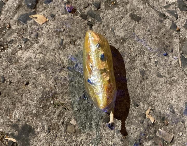 Este es el artefacto explosivo incautado.