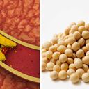 La lecitina de soya permite acelerar el metabolismo. Foto: Getty images montaje SEMANA.