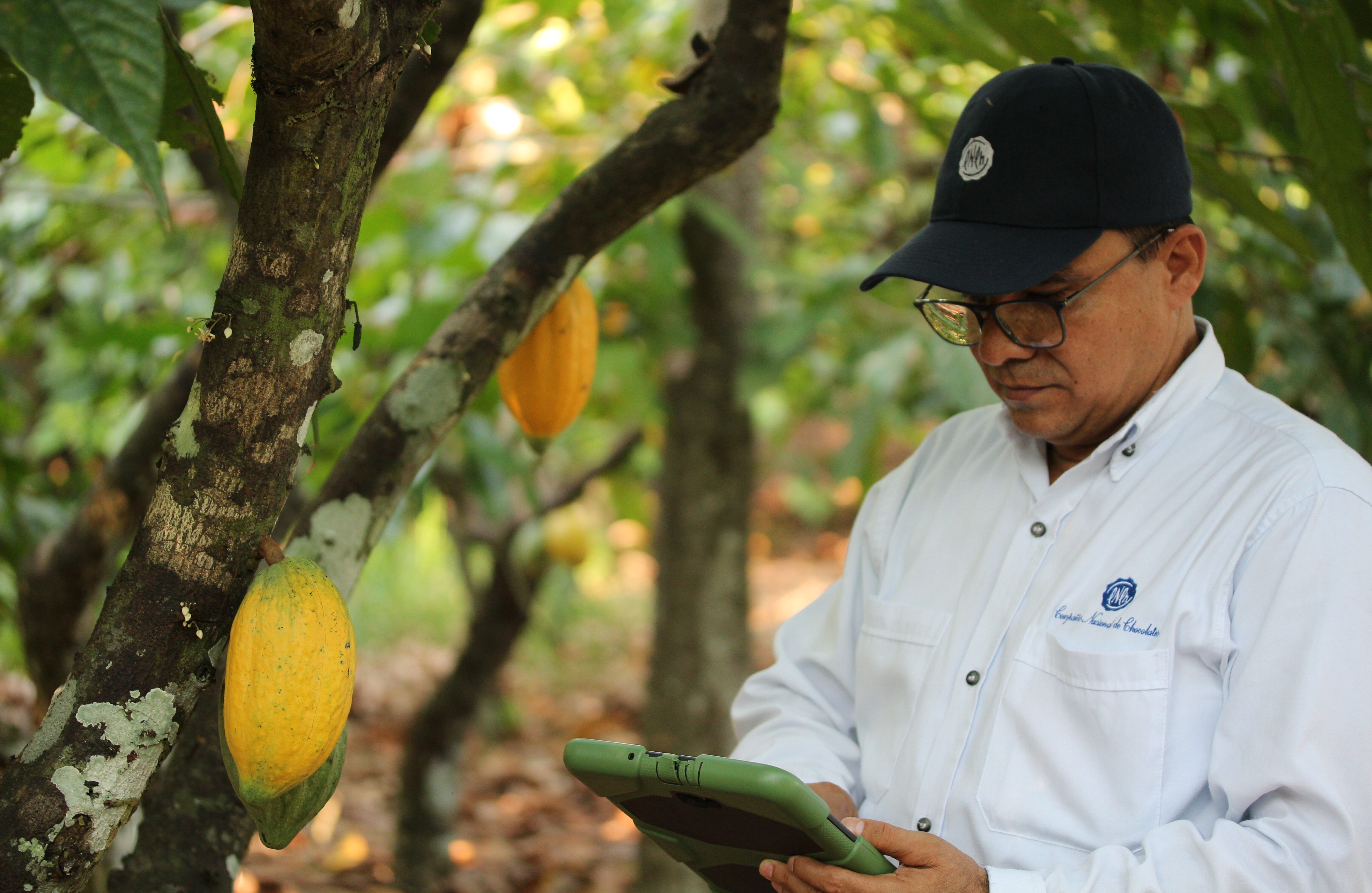 Cordillera - Especial Cacao