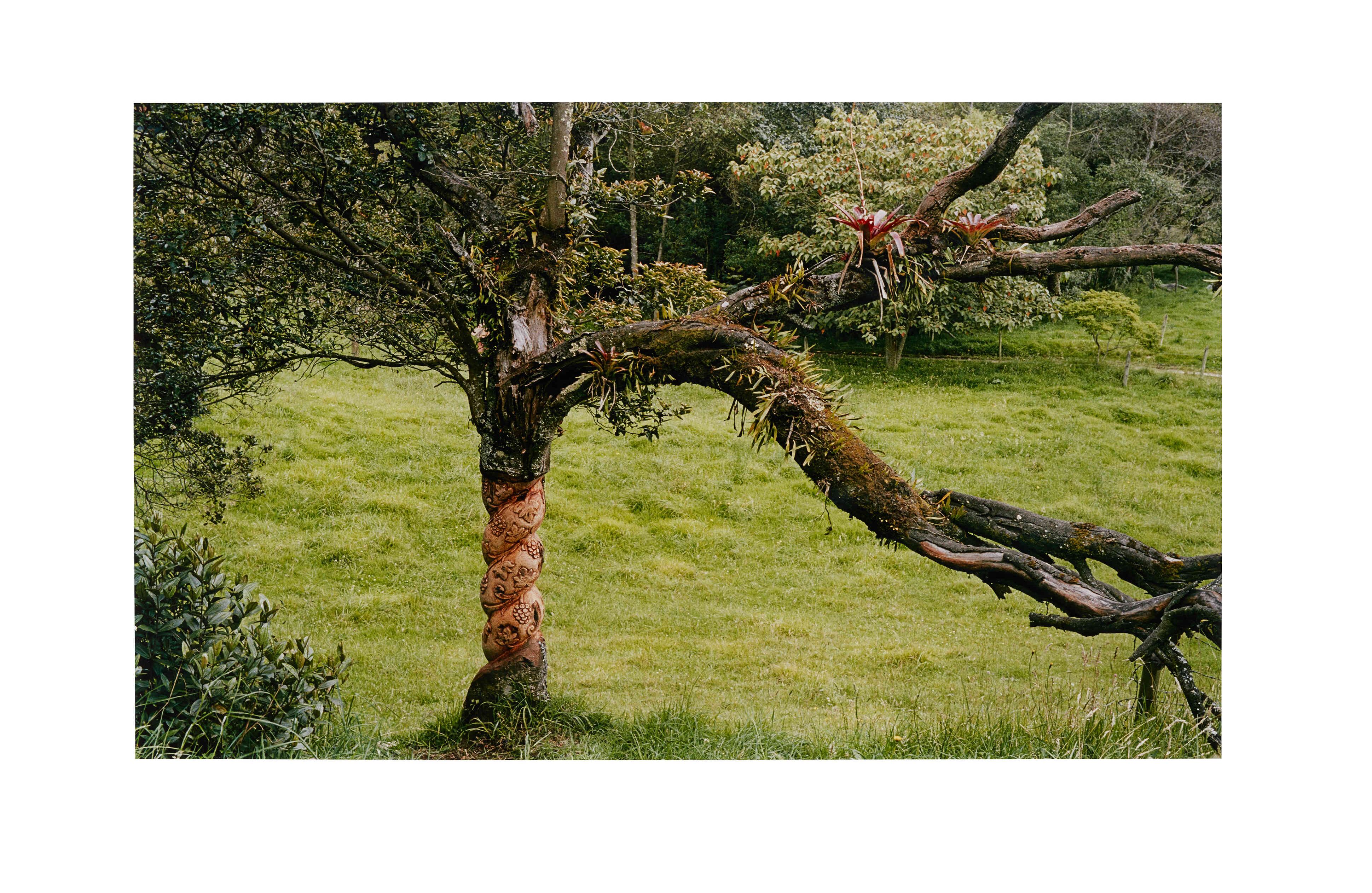 Intervenciones paisajísticas. Por Maria Elvira Escallon.