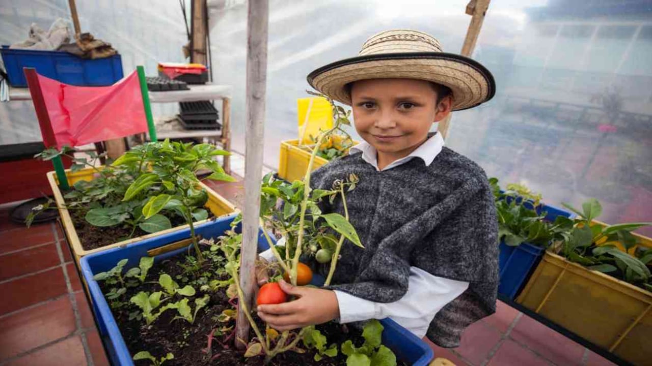 William David Callejas Muñoz es uno de los estudiantes del Colegio Distrital Rodrigo de Triana vinculado al proyecto de huerta escolar urbana. Foto: Diana Rey Melo/Semana.