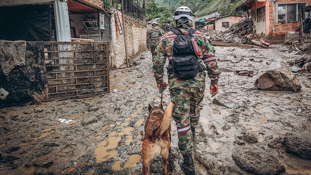 Muchos de estos animales deben permanecer con vigilancia las 24 horas del día, por cuenta de las amenazas de los narcos.