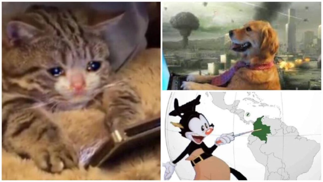 Memes que dejó el temblor en Colombia